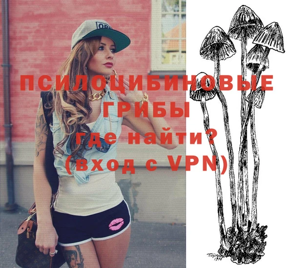 ALPHA PVP Белокуриха