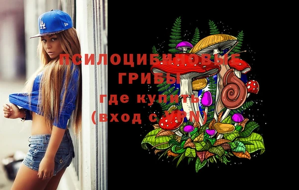 спиды Беломорск