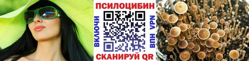 Галлюциногенные грибы мицелий  мега ССЫЛКА  Назрань  где купить  