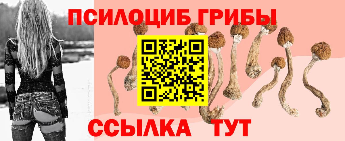 Галлюциногенные грибы ЛСД  Вход с VPN  купить   Назрань  Галлюциногенные грибы Magic Shrooms 